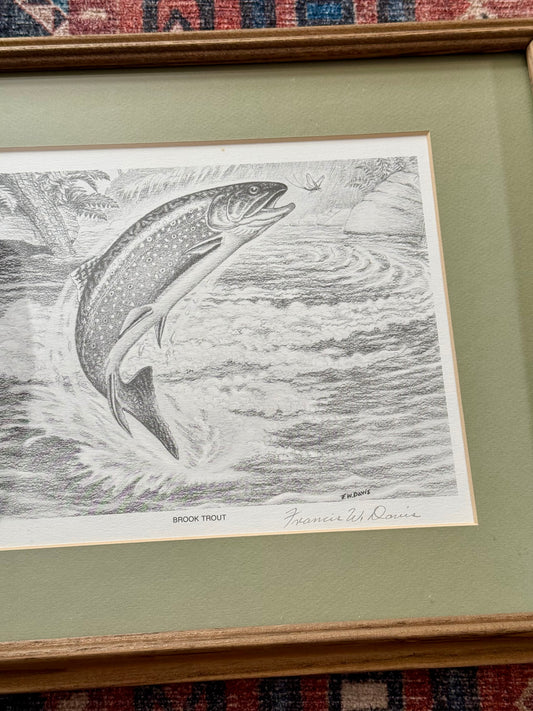 Francis W. Davis Brook Trout Drawing 1977