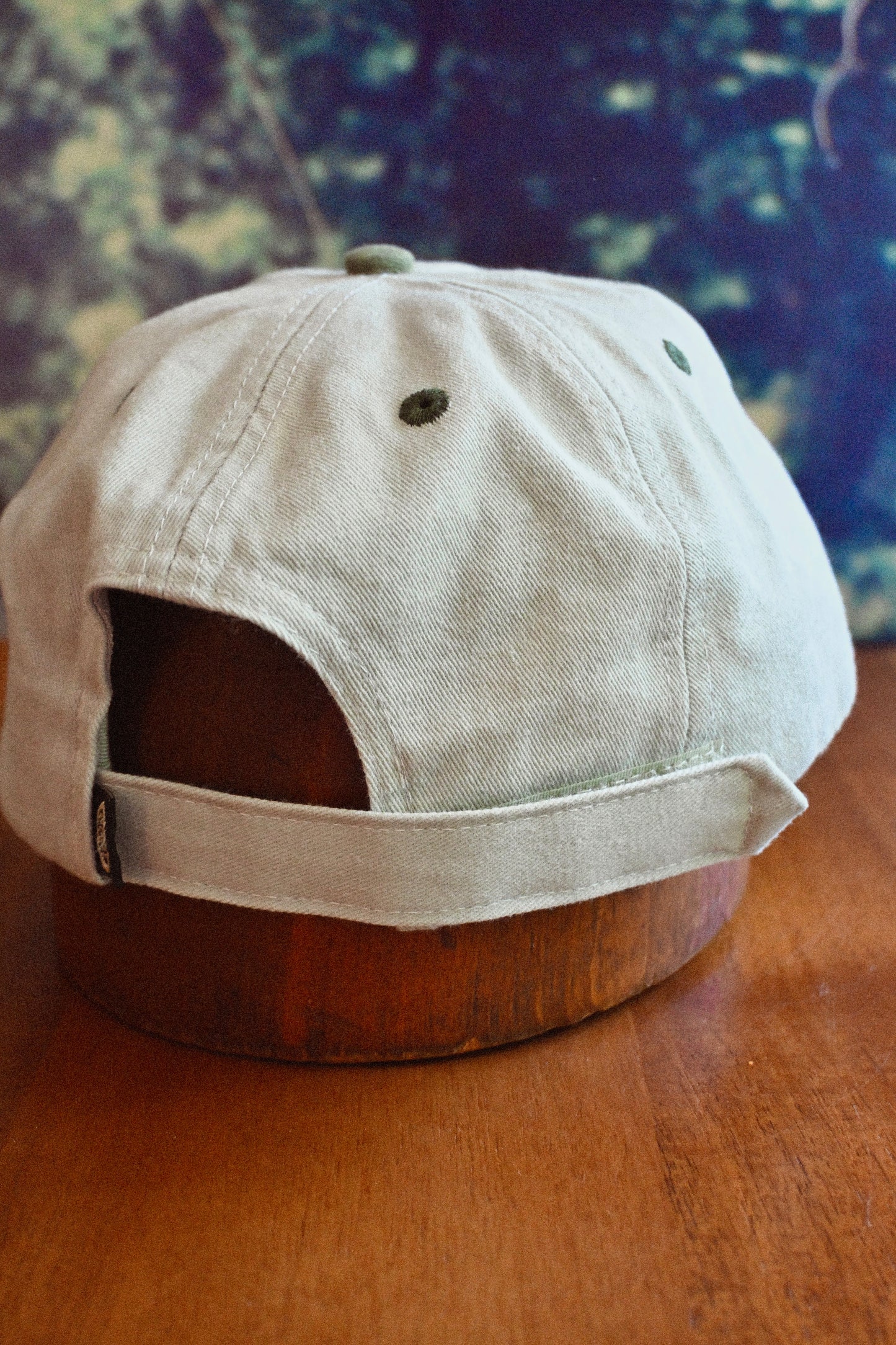 Dry Hallow Ranch Pheasant Cap