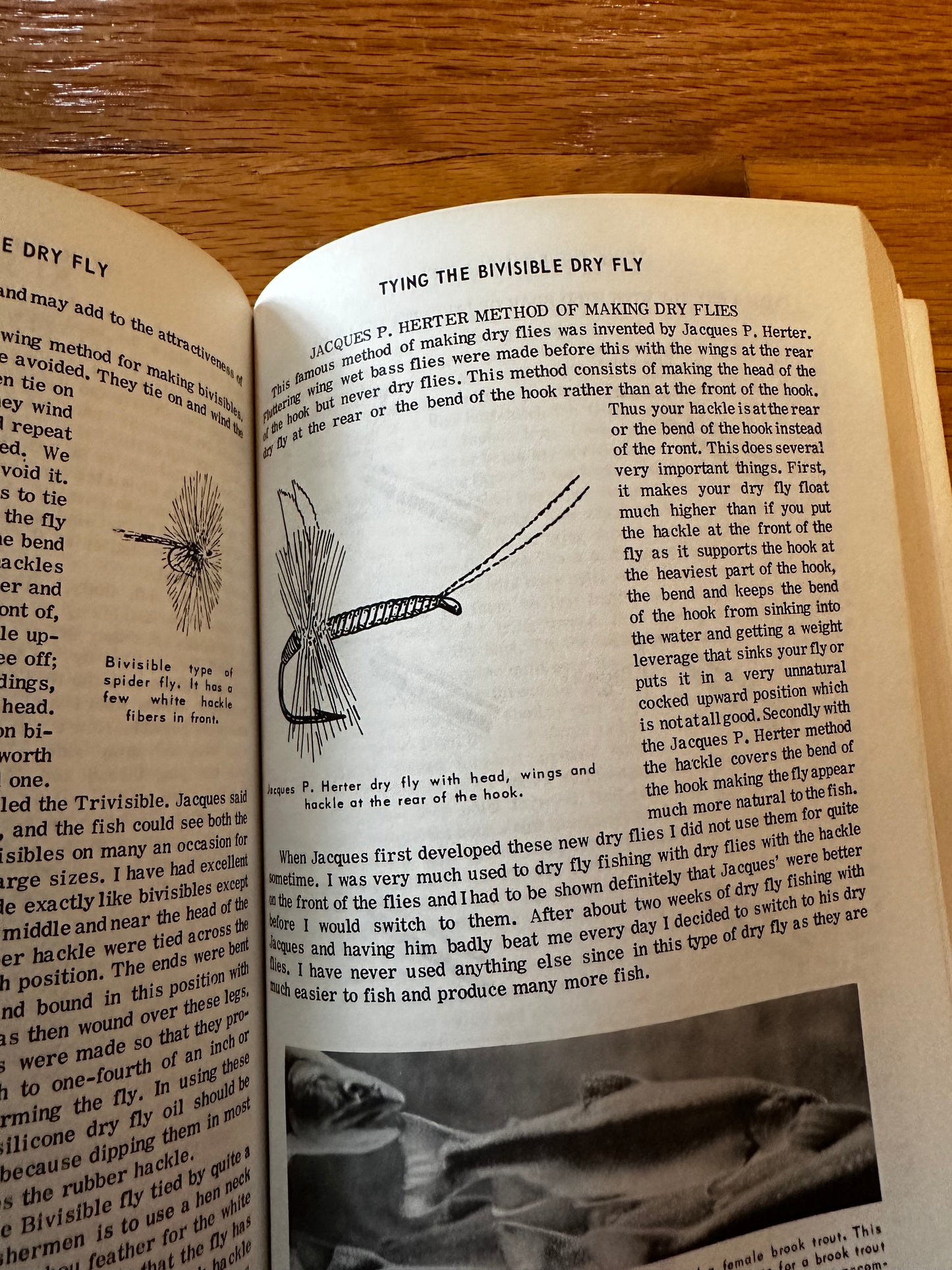 Professional Fly Tying, Spinning and Tackle Making Manual and Manufacturers’ Guide - George Leonard Herter