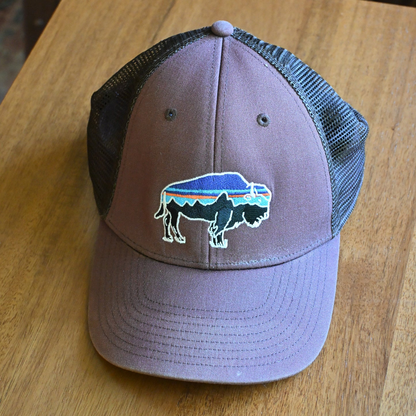 Patagonia Bison Hat