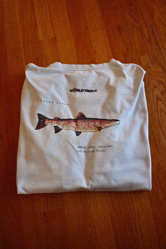 Patagonia World Trout Beneficial T Long Sleeve - XL