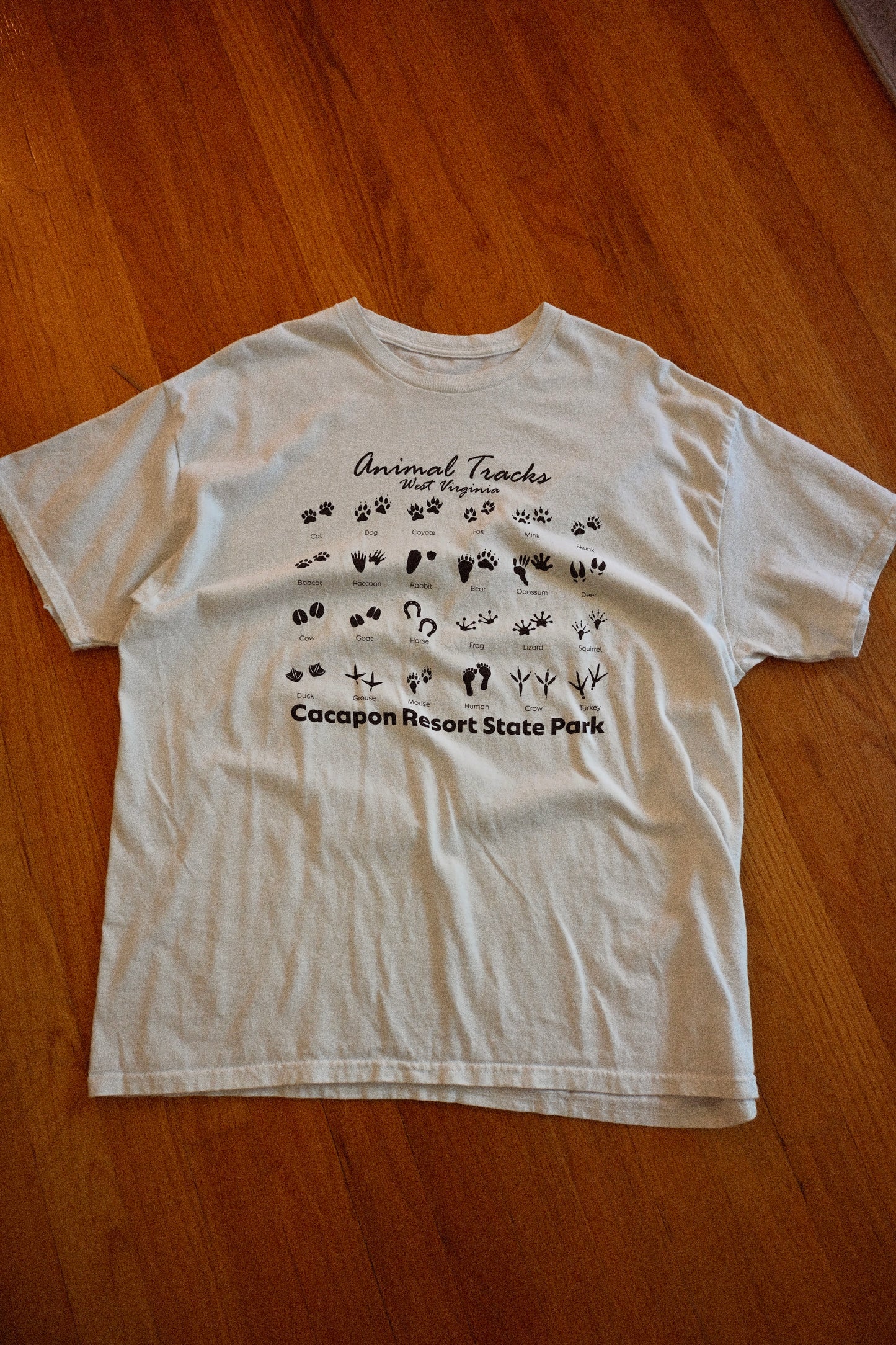Animal Tracks T - L
