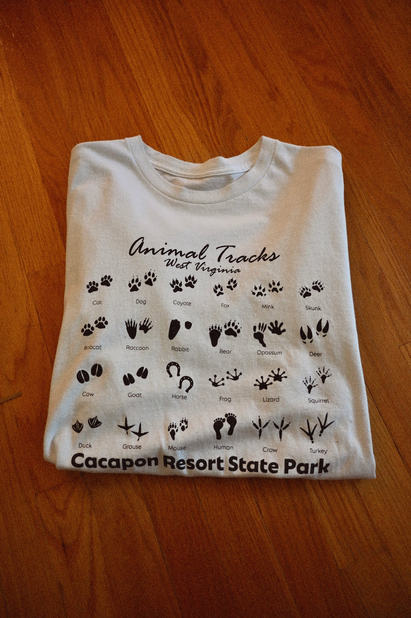 Animal Tracks T - L