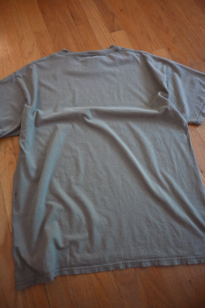 Distressed Steamboat Colorado Flies T - XL