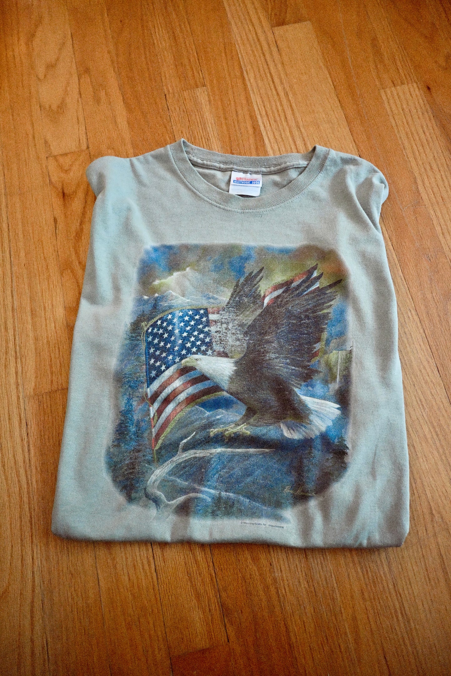 Vintage Bald Eagle T - L