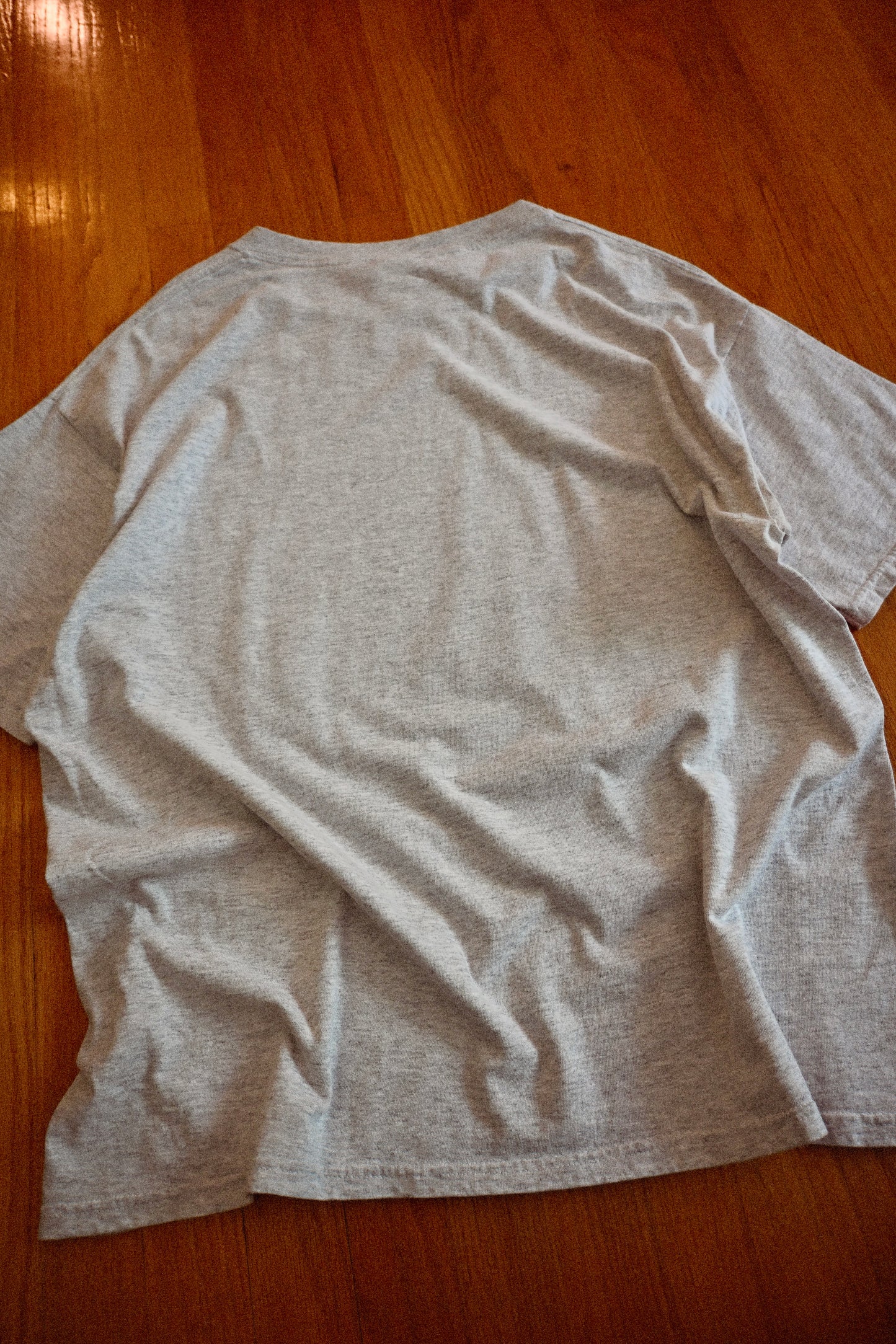 Ray Troll Nude Fly Fishing T - XL