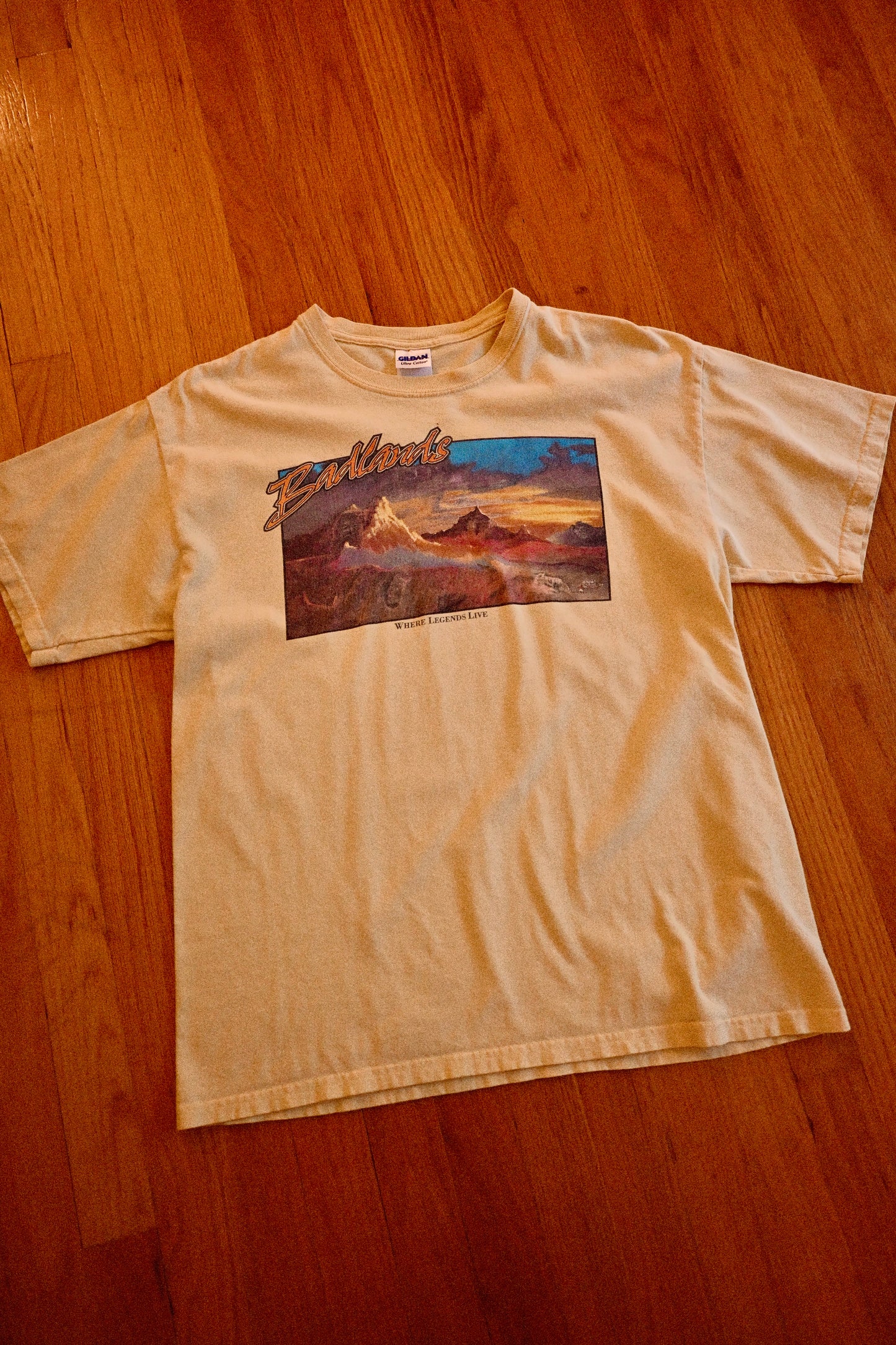 Vintage Badlands T - L