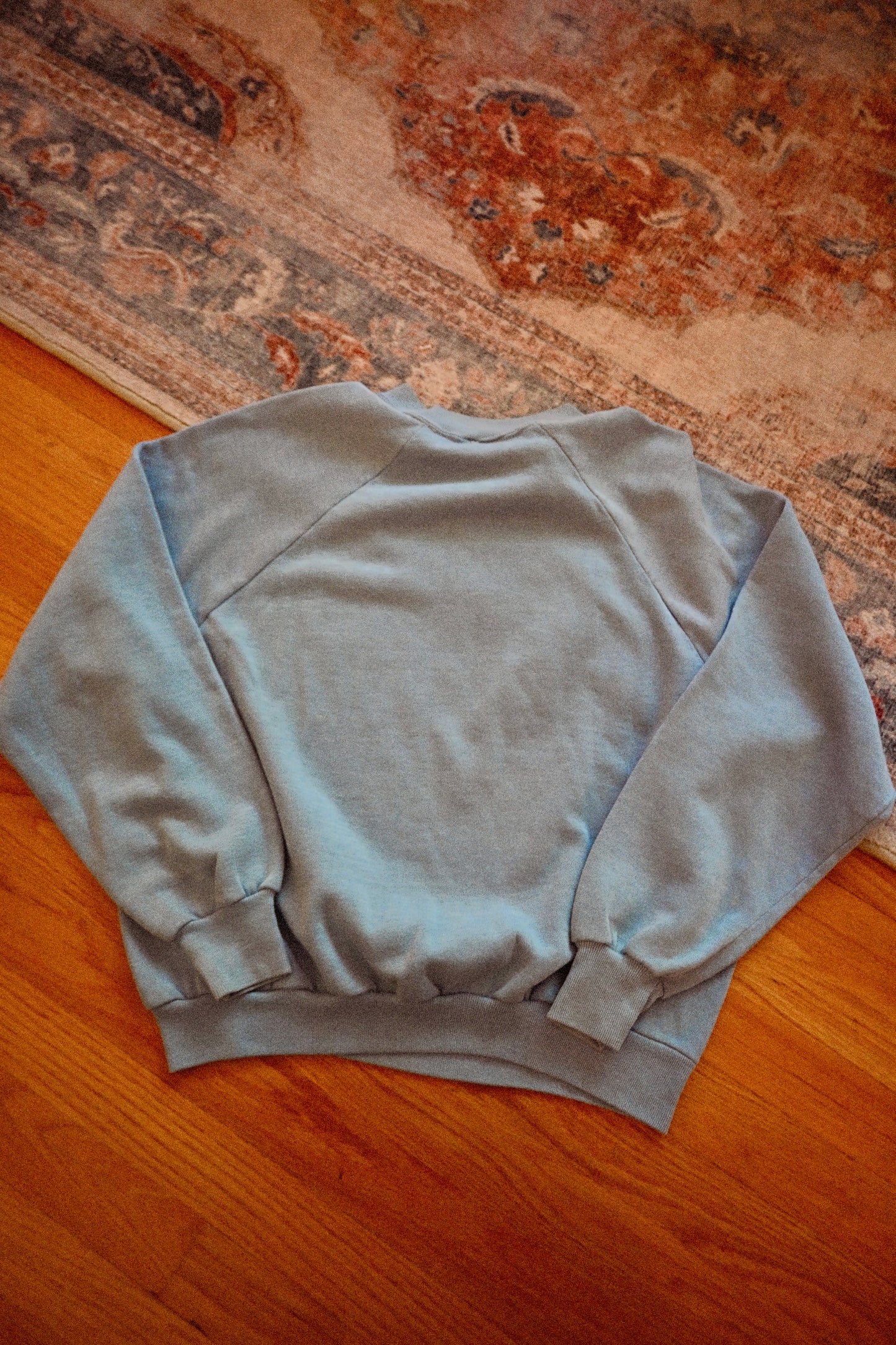 Vintage Go Hike the Canyon * Grand Canyon Nat. Park Sweatshirt - M