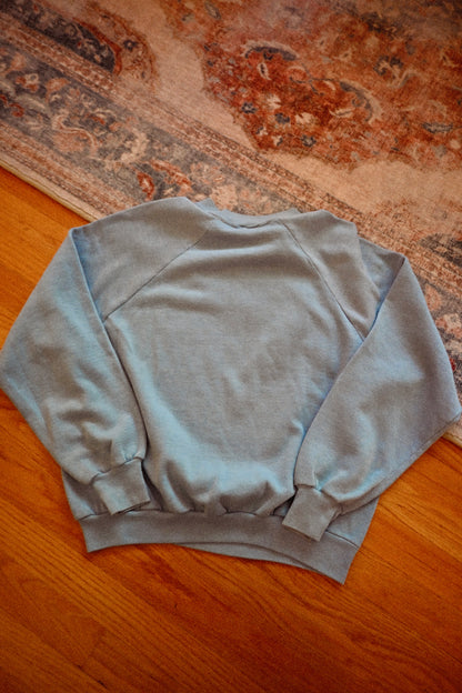 Vintage Go Hike the Canyon * Grand Canyon Nat. Park Sweatshirt - M