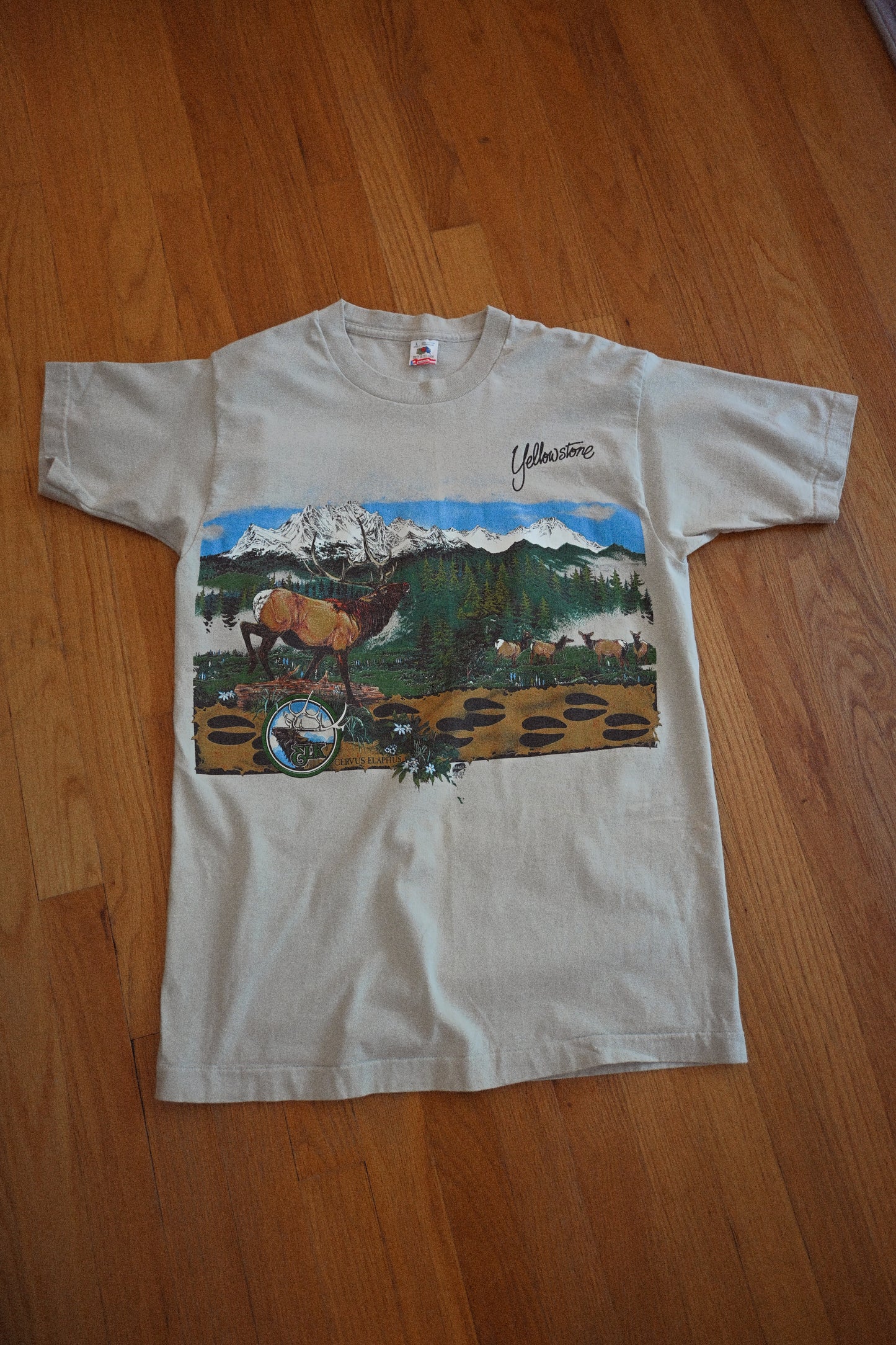 1994 Yellowstone Elk T -  L