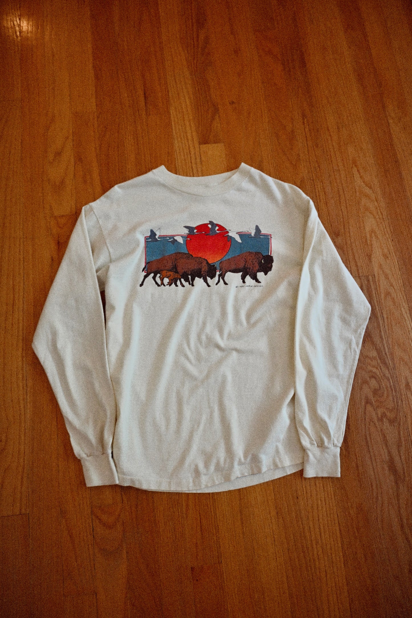 1984 Aerie Design Long Sleeve Shirt - L