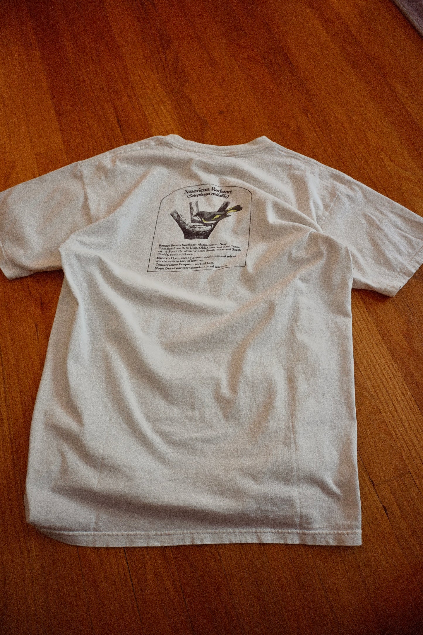 Distressed 1993 Houston Audubon Society T - L