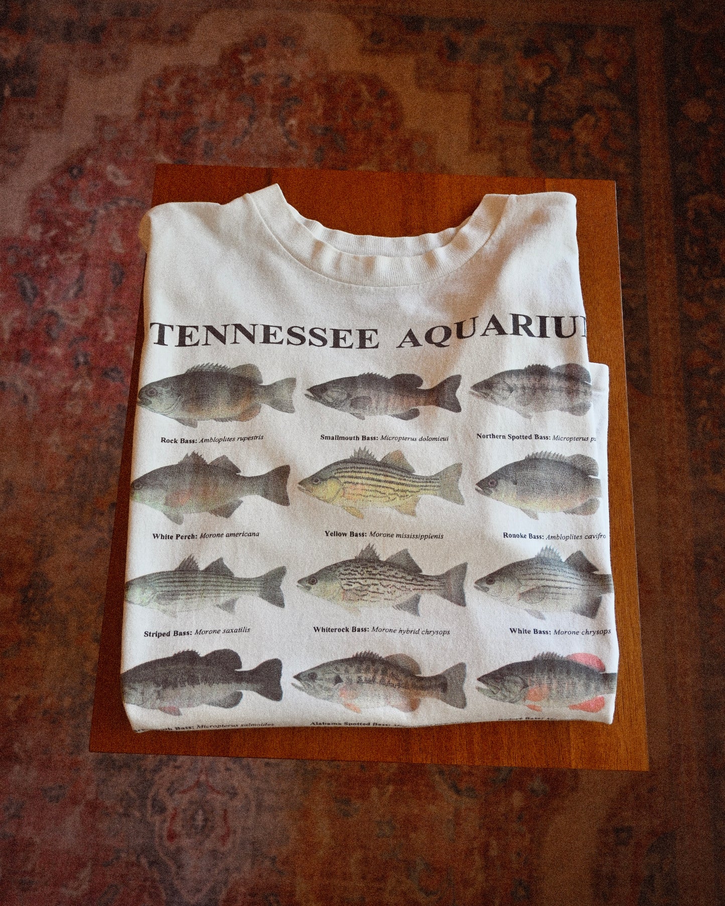 Tennessee Aquarium T - L