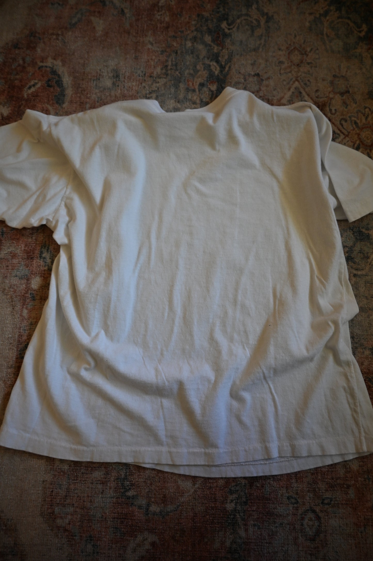 Northern Reflections Loon T - XL