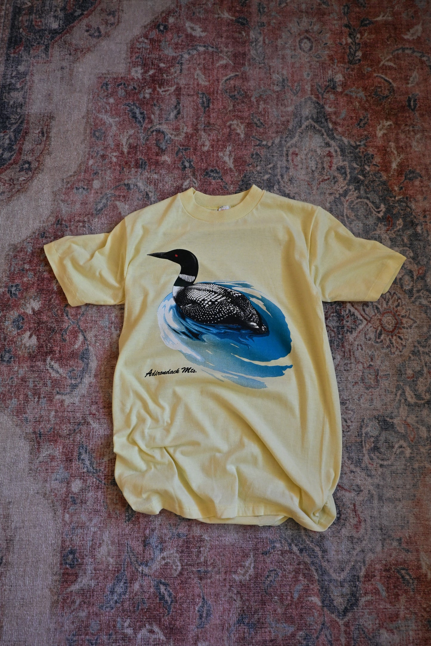 Adirondack Mts. Loon T - M