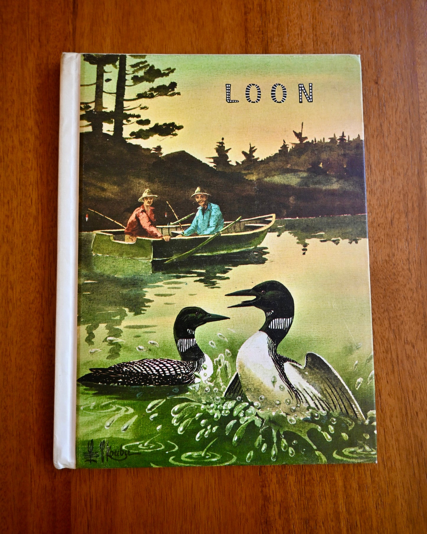 Rare** Loon - Ivah Green (Hardcover, 1968 print, Illustrated)