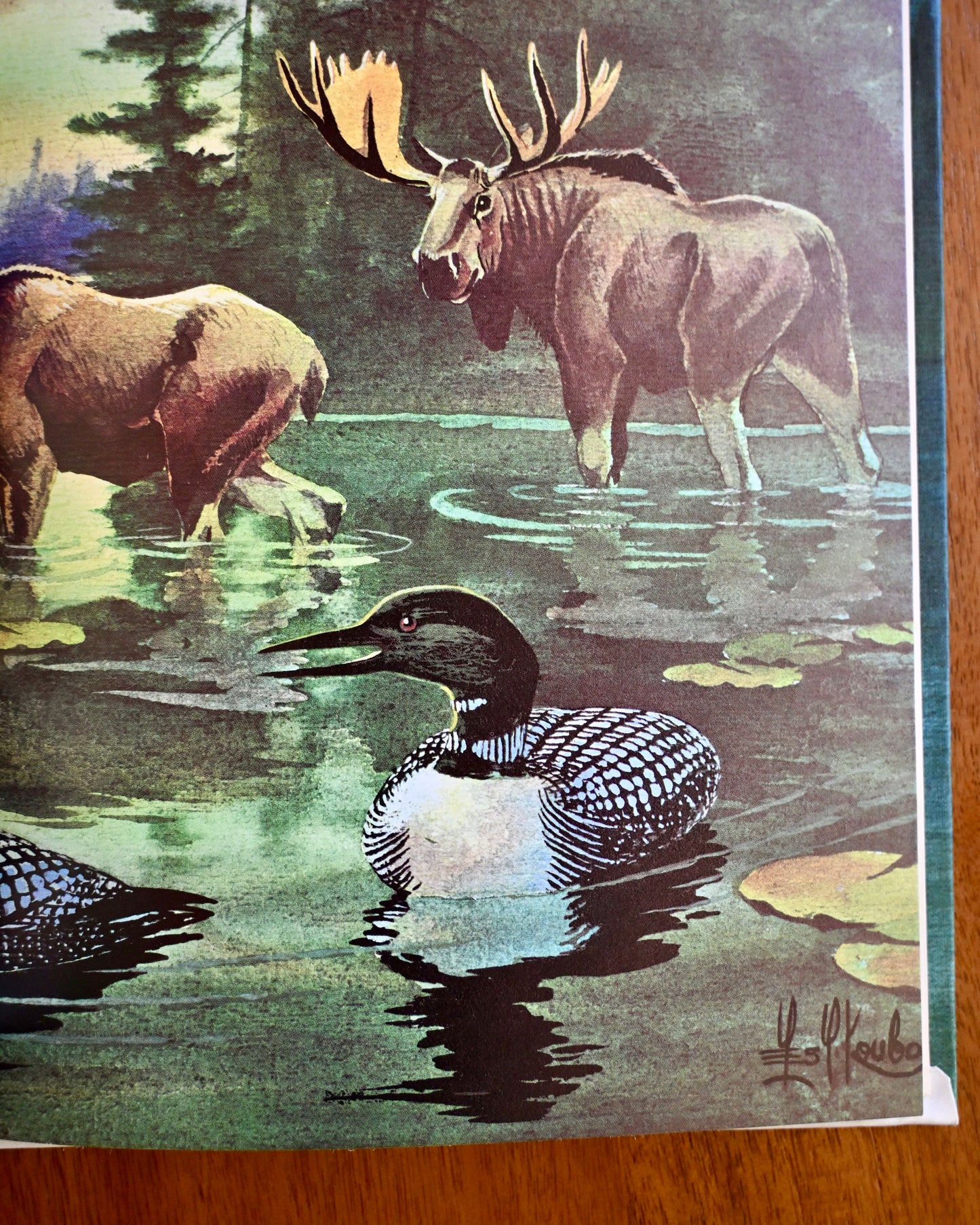 Rare** Loon - Ivah Green (Hardcover, 1968 print, Illustrated)