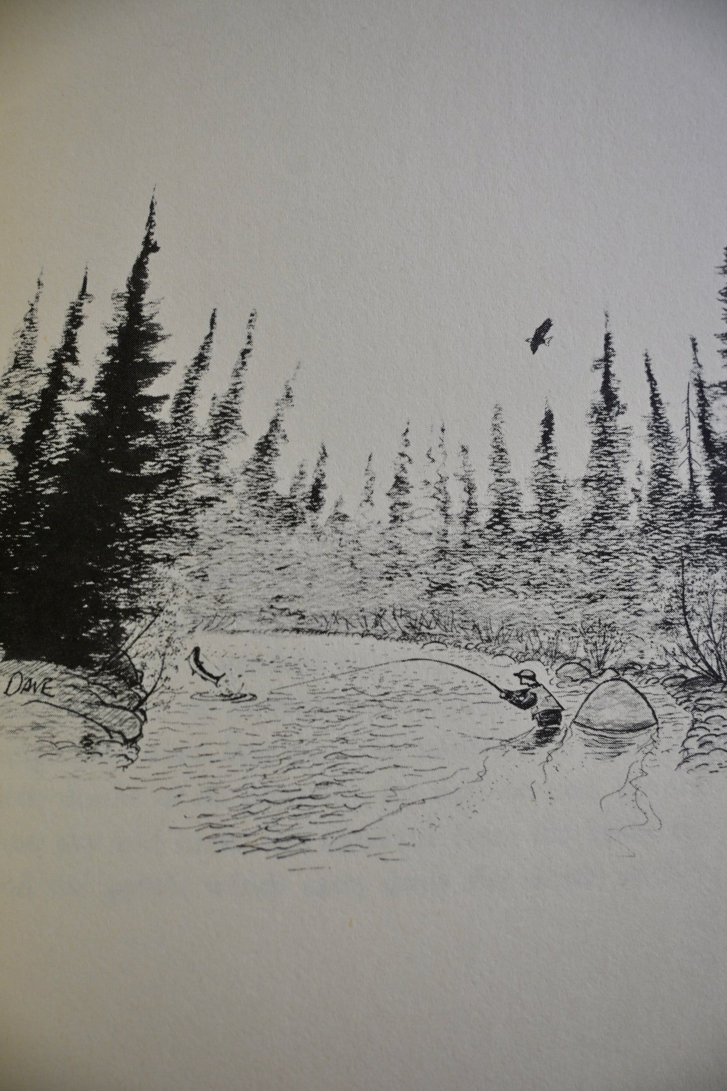 The Year of the Angler - Steve Raymond
