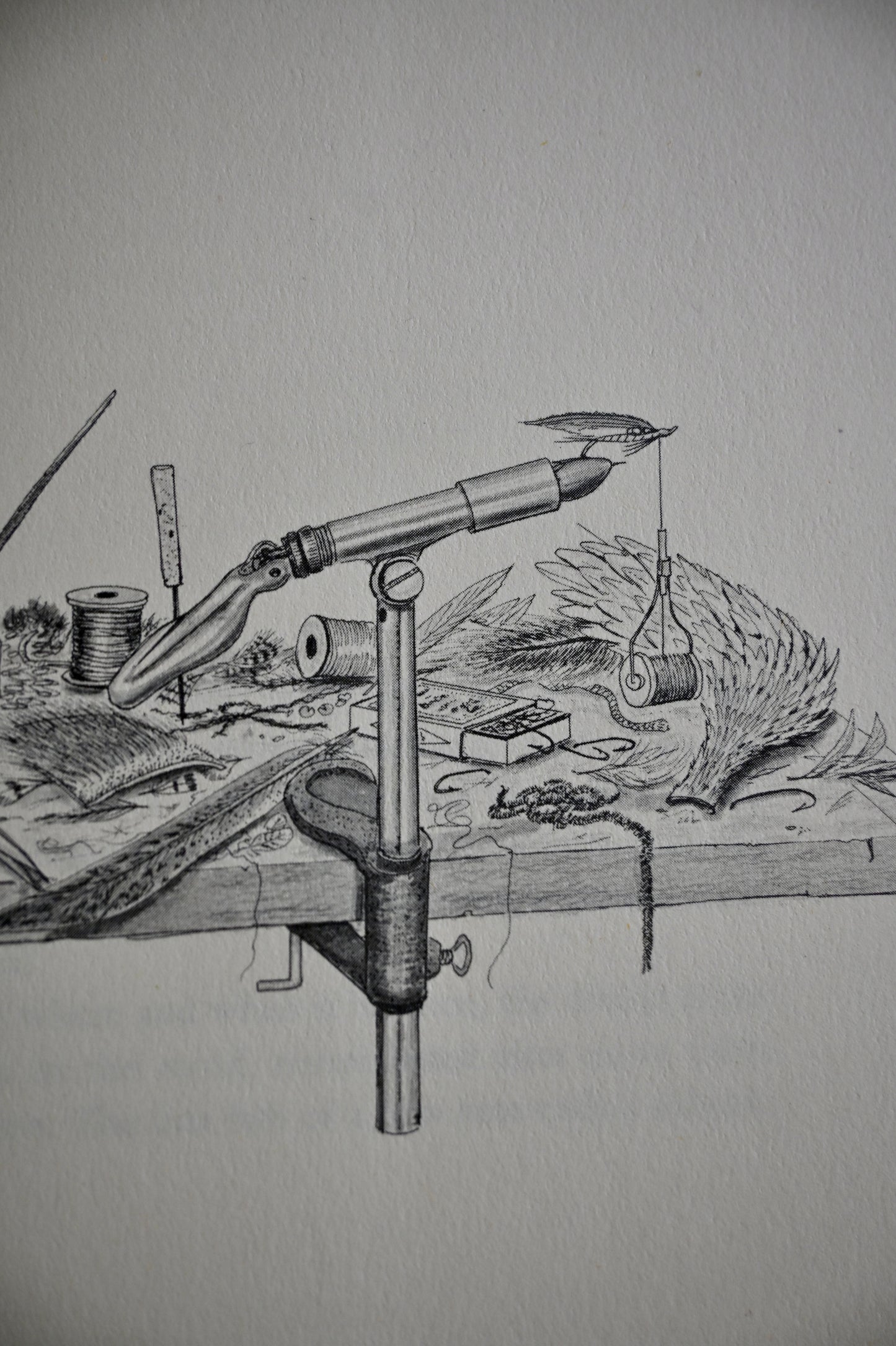 The Year of the Angler - Steve Raymond