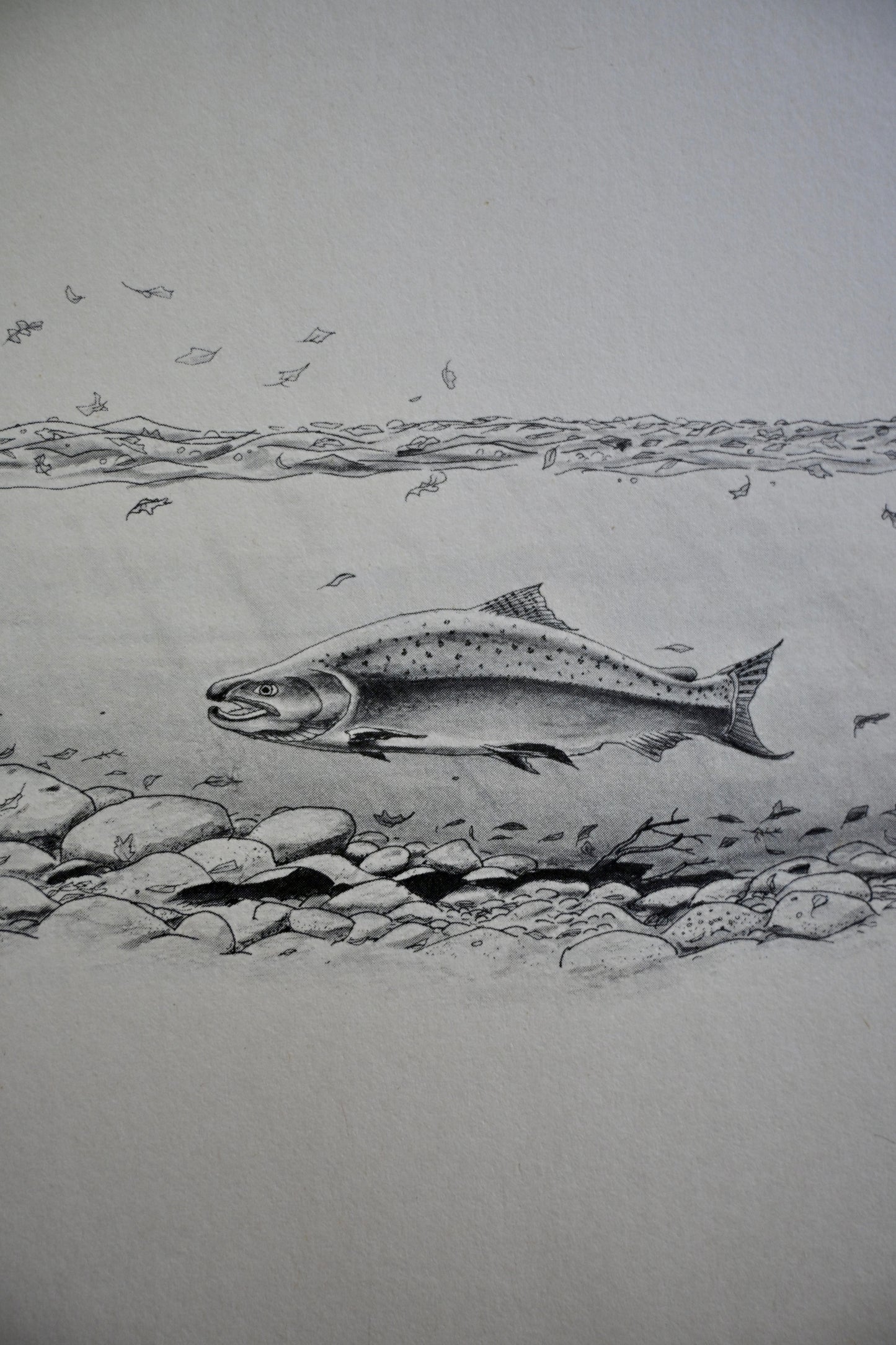 The Year of the Angler - Steve Raymond