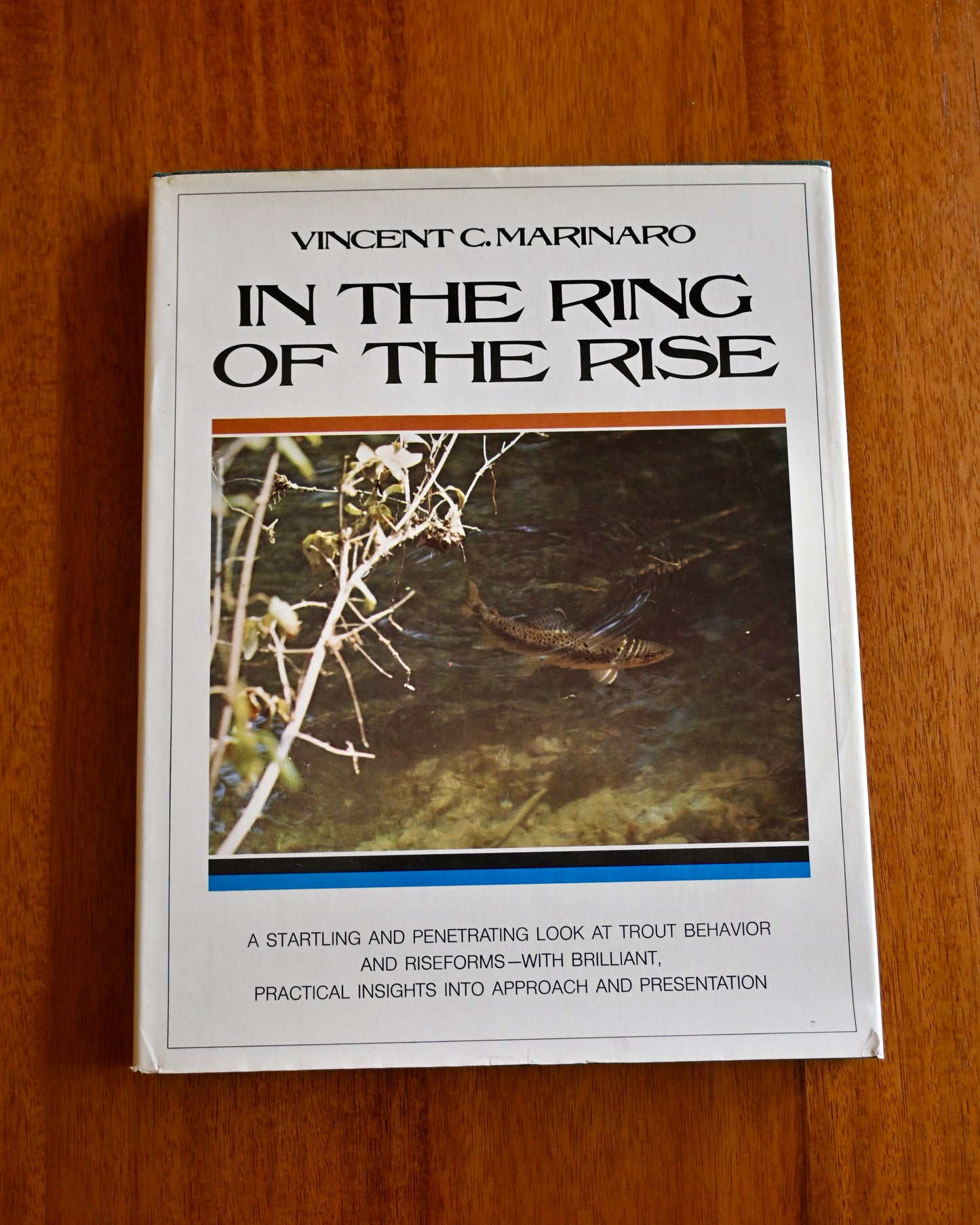 In The Ring of The Rise - Vincent C. Marinaro