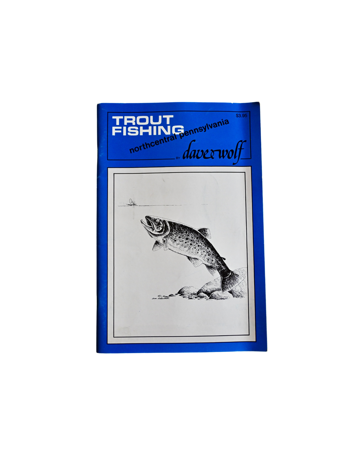 Trout Fishing Northcentral Pennsylvania - Dave Wolf