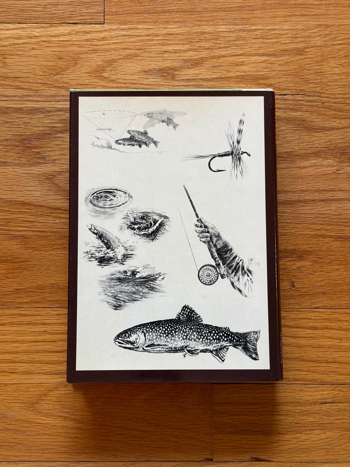 Fishing Dry Flies for Trout on Rivers and Streams - Art Lee