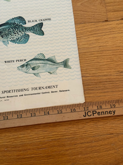 Delaware Fresh Water Fishes Poster