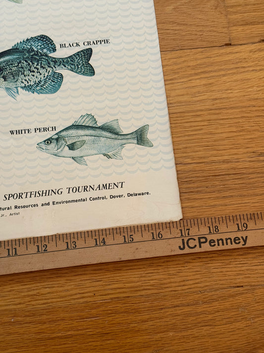 Delaware Fresh Water Fishes Poster