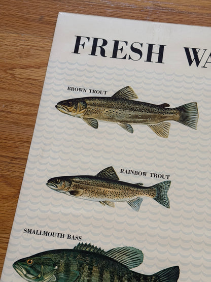 Delaware Fresh Water Fishes Poster