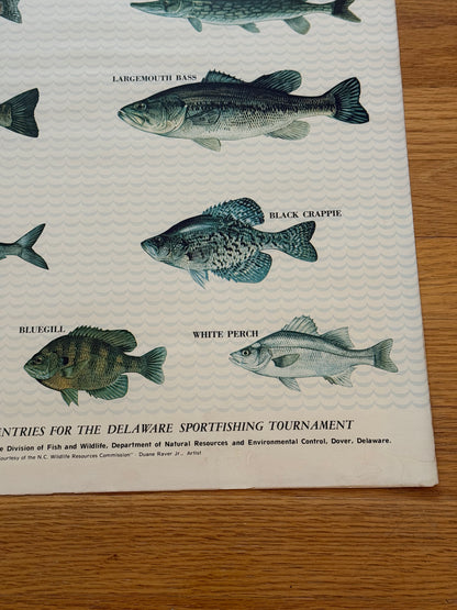 Delaware Fresh Water Fishes Poster