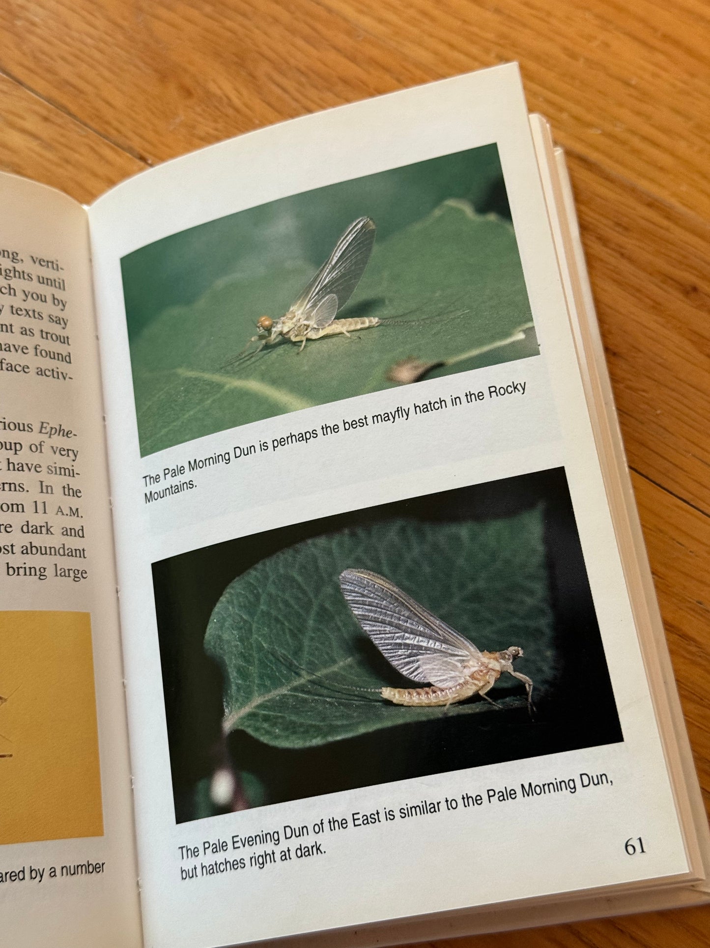 The Orvis Streamside Guide to Trout Foods and Their Imitations - Tom Rosenbauer